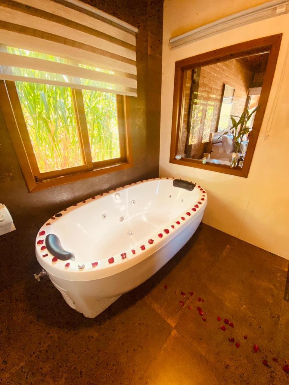 Refugio Dos Pinhais Chalet *